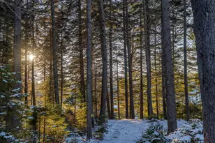 47 Snowman Ln, Georgetown, ME 04548 - Photo 112