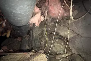 5 Liberty St, Ellsworth, ME 04605 - Photo 158