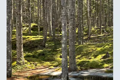 510 Grand Marsh Bay Road, Gouldsboro, ME 04607 - Photo 2