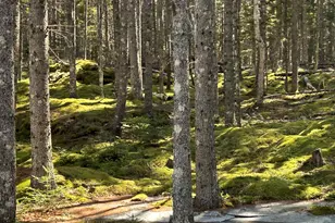 510 Grand Marsh Bay Rd, Gouldsboro, ME 04607 - Photo 2