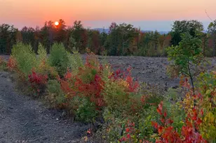 4 Macie Dr, Standish, ME 04084 - Photo 10