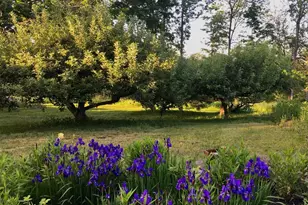 74 Jackson Rd, Poland, ME 04274 - Photo 116