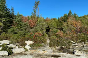 42 Old Mill Rd, Bristol, ME 04554 - Photo 56