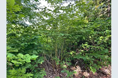 4C Carmichael Road, Littleton, ME 04730 - Photo 12