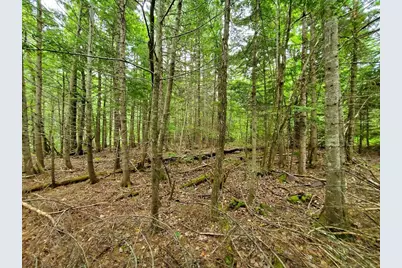 0 Mill Street, Princeton, ME 04668 - Photo 10