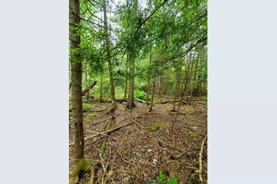 0 Mill Street, Princeton, ME 04668 - Photo 12