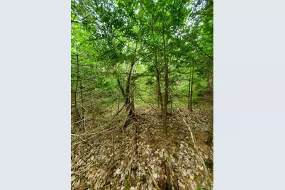 0 Mill Street, Princeton, ME 04668 - Photo 14