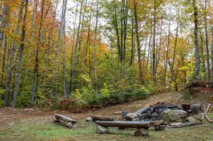 859 Maine St, Stoneham, ME 04231 - Photo 90