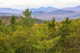 859 Maine St, Stoneham, ME 04231 - Photo 102