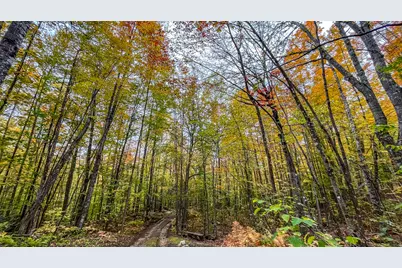 859 Maine Street, Stoneham, ME 04231 - Photo 86