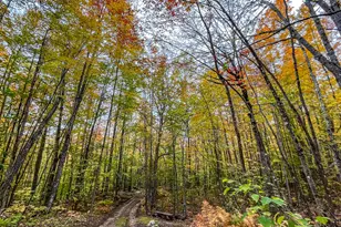 859 Maine St, Stoneham, ME 04231 - Photo 86