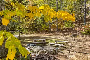 859 Maine St, Stoneham, ME 04231 - Photo 88