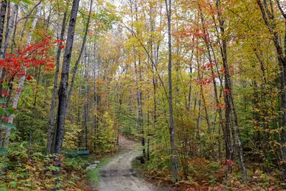 859 Maine Street, Stoneham, ME 04231 - Photo 102