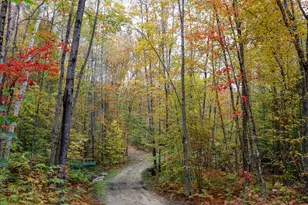 859 Maine St, Stoneham, ME 04231 - Photo 102