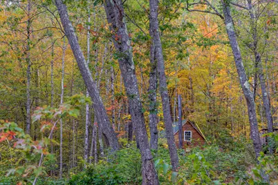 859 Maine Street, Stoneham, ME 04231 - Photo 88