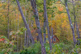 859 Maine St, Stoneham, ME 04231 - Photo 88