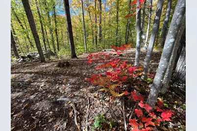 859 Maine Street, Stoneham, ME 04231 - Photo 98