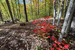 859 Maine St, Stoneham, ME 04231 - Photo 98