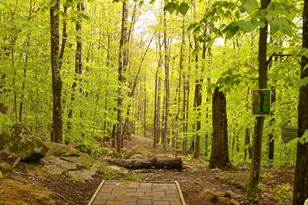 859 Maine St, Stoneham, ME 04231 - Photo 94