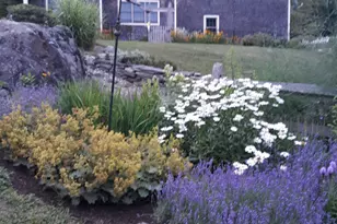 63 Raccoon, Cushing, ME 04563 - Photo 6