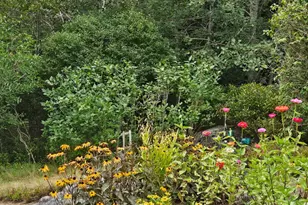 63 Raccoon, Cushing, ME 04563 - Photo 58