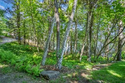 Lot 009 Reny Road, Bristol, ME 04539 - Photo 12