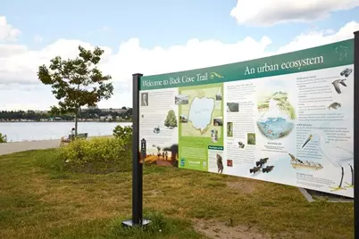 19 William Street, Portland, ME 04103 - Photo 36