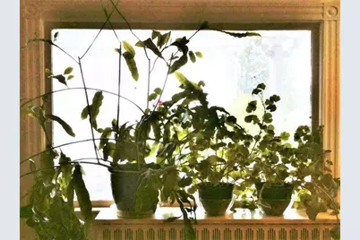 824 Main Street, Sanford, ME 04073 - Photo 14