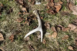 949 Depot St, Waldoboro, ME 04572 - Photo 74