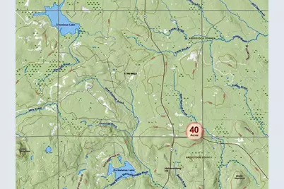 230 Maine 212, Moro Plantation, ME 04780 - Photo 10