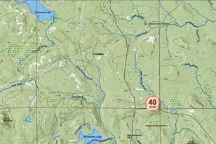 230 Maine 212, Moro Plantation, ME 04780 - Photo 10