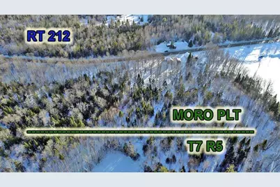 230 Maine 212, Moro Plantation, ME 04780 - Photo 2