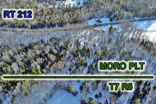 230 Maine 212, Moro Plantation, ME 04780 - Photo 2