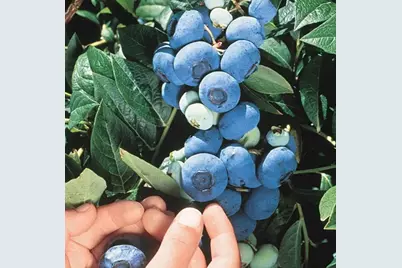 Tbd East River Road, Skowhegan, ME 04976 - Photo 14