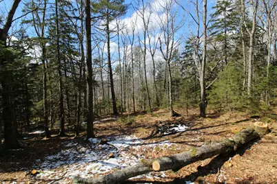 127 W West Side Drive, Verona, ME 04416 - Photo 8