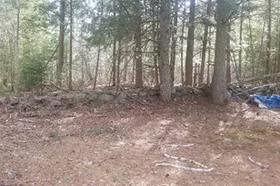 46 Albert-Reed Rd, Orrington, ME 04474 - Photo 12