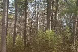 46 Albert-Reed Rd, Orrington, ME 04474 - Photo 16