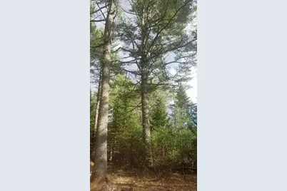 46 Albert Reed Road, Orrington, ME 04474 - Photo 18