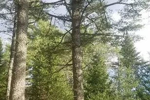 46 Albert-Reed Rd, Orrington, ME 04474 - Photo 18