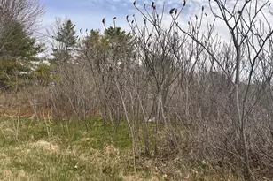 59 Gardiner Rd, Dresden, ME 04342 - Photo 10