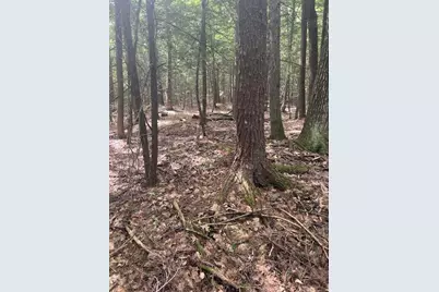 00 Miso Way, Buxton, ME 04093 - Photo 12