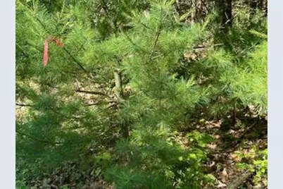 671 Stream Road, Winterport, ME 04496 - Photo 6