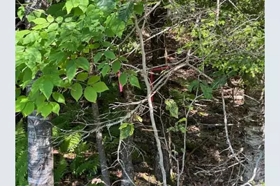 671 Stream Road, Winterport, ME 04496 - Photo 24