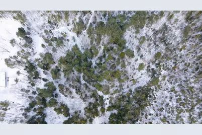 Lot 19 Dorr Road, Wiscasset, ME 04578 - Photo 8