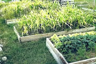 363 Butter Hill Rd, Livermore, ME 04253 - Photo 26