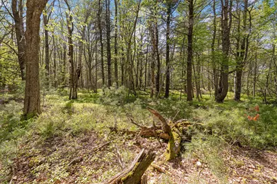 17-1 Bald Head Road, Arrowsic, ME 04548 - Photo 12