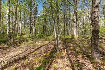 17-1 Bald Head Road, Arrowsic, ME 04548 - Photo 14