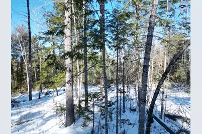 Lot 4A Off Morgan Road, Burnham, ME 04922 - Photo 10