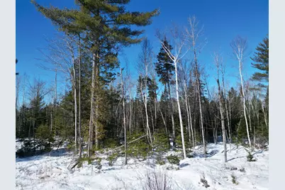 Lot 4A Off Morgan Road, Burnham, ME 04922 - Photo 18