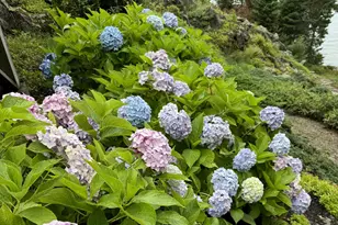 36 Roxmont Rd, Rockport, ME 04856 - Photo 6